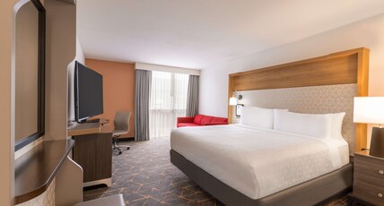 DoubleTree by Hilton Fort Worth South Room Type - 1 KING STUDIO SOFABED