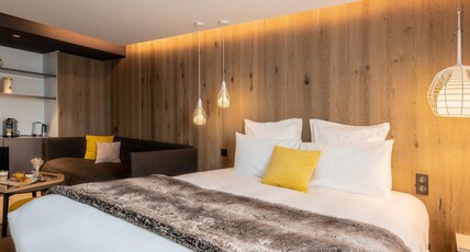 Mercure Valence Sud Room Type - Privilege Room with 1 double bed