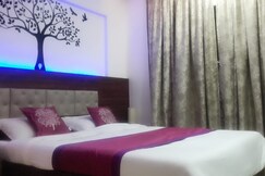 Hotel Shelter palace