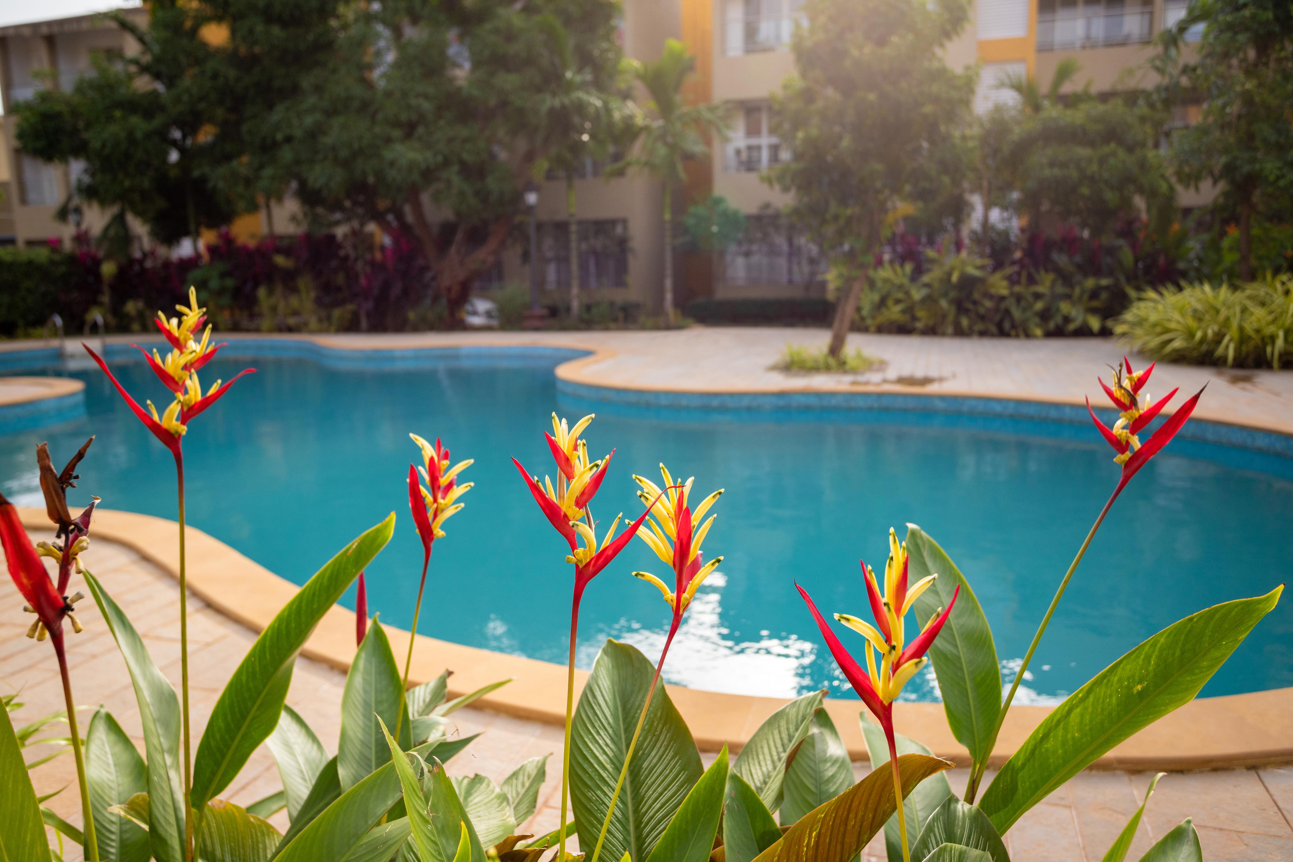 Nayaab by Leo Homes : 2BHK Flat near Anjuna Beach - Tap to explore photos