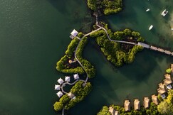 Constance Prince Maurice