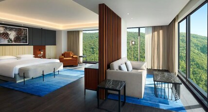 Hyatt Regency Dehradun Resort and Spa Room Type - REGENCY SUITE