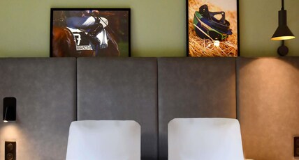 ibis Maisons Laffitte Room Type - Superior Room with 1 double bed