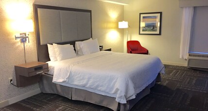 Hampton Inn by Hilton Sevierville Room Type - 1 KING STE FIREPLAC NOSMOK
