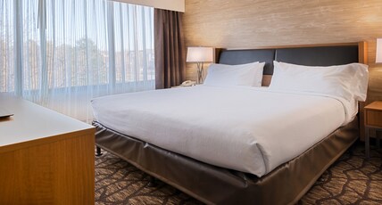 Holiday Inn Hotel & Suites WARREN Room Type - 1 King Standard Mobility Accessible Tub Holiday Inn Hotel & Suites WARREN Room Type - 1 King Standard Mobility Accessible Tub