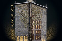 Address of Hotel Shady Oaks