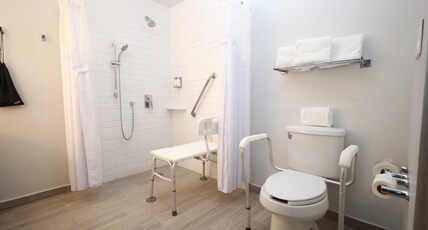 Holiday Inn Durango Room Type - 1 King Standard Accessible