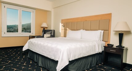 Holiday Inn SAN SALVADOR Room Type - 1 King Standard Top Floor