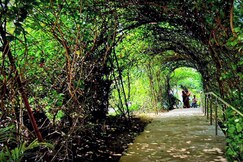 Joychandi Hill Resort