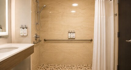 Holiday Inn Express & Suites TRUTH OR CONSEQUENCES Room Type - 1 King Standard Mobility Accessible Roll In Shower Holiday Inn Express & Suites TRUTH OR CONSEQUENCES Room Type - 1 King Standard Mobility Accessible Roll In Shower