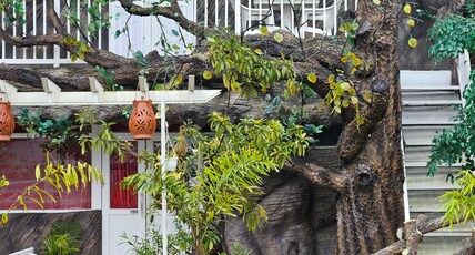 S & B Boutique Homestay Room Type - Garden View room