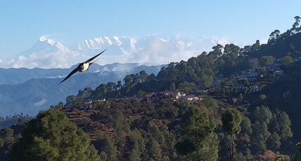 Himalaya View Room Type - Double Room with Mountain View