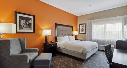 Holiday Inn Hotel & Suites Slidell Room Type - 1 King Bed Standard