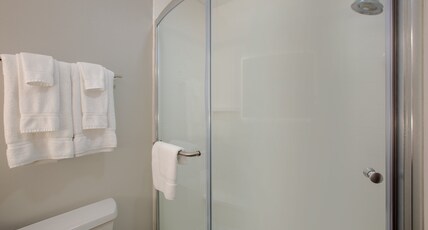 Holiday Inn Express Hotel & Suites Columbus Room Type - 1 King Standard Comm Access Roll Shwr