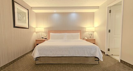 Holiday Inn CUERNAVACA Room Type - 1 King Standard