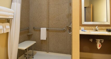Hampton Inn Gainesville Room Type - 1 KNG ACC ROLLIN SHWR NS