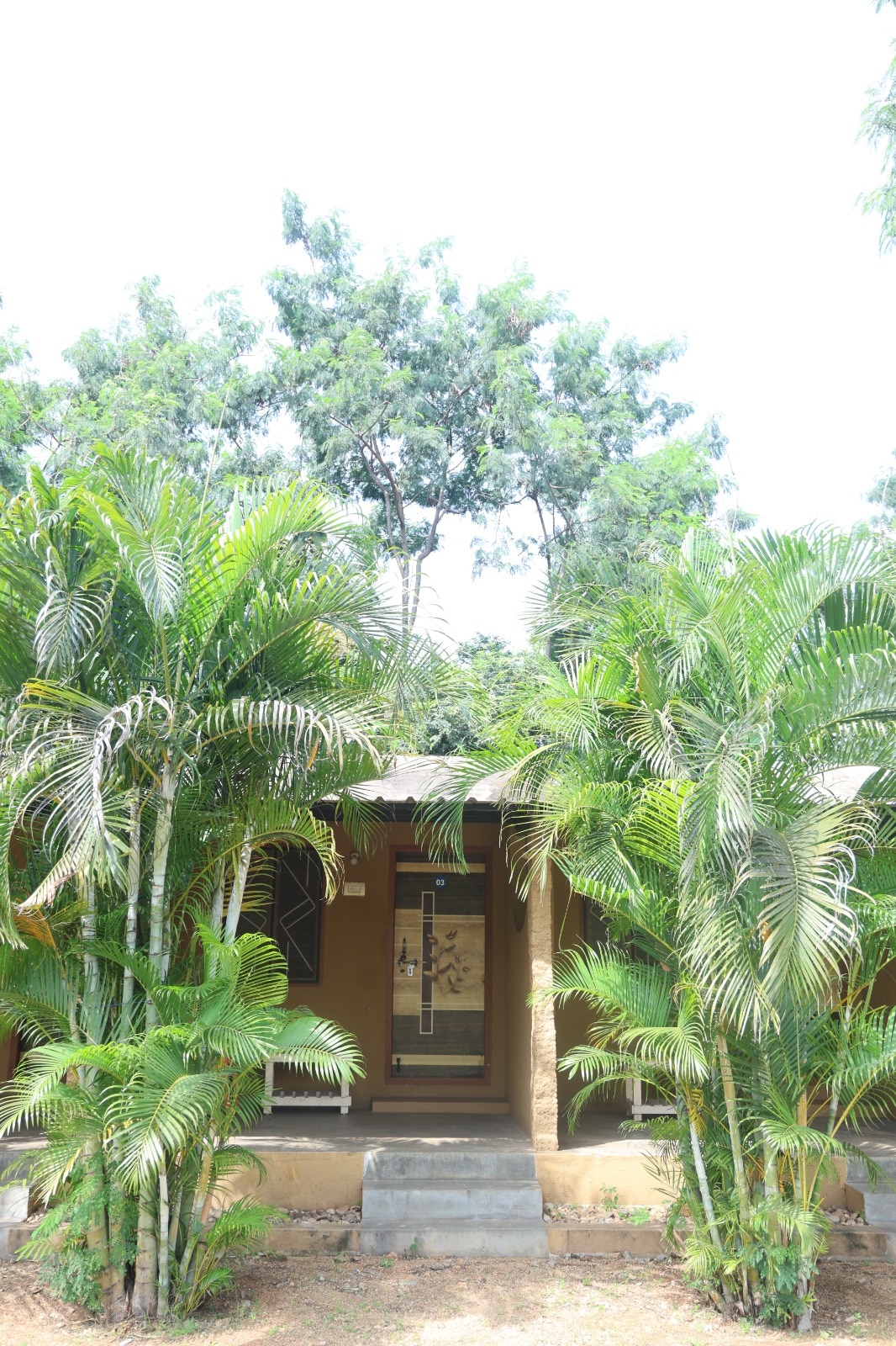 Hampi Blue Moon Resort - Tap to explore photos
