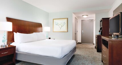 Hilton Garden Inn Worcester Room Type - 1 KING ACC RM W BATHTUB