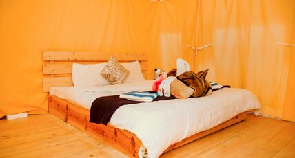 Green Caravan Camps | Hill View Tents Room Type - Hill-View Swiss Tent with Attached Washroom