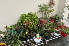 Green Bacchus Stays| Private room with kitchen