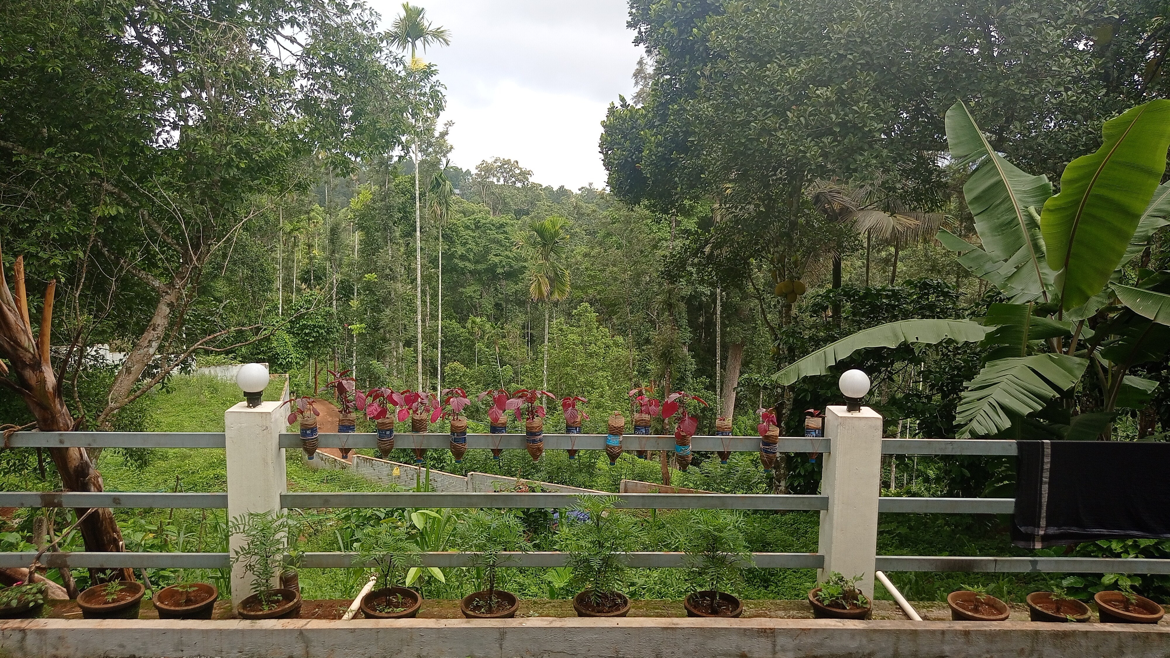 Colonia Munnar Homestay - Tap to explore photos