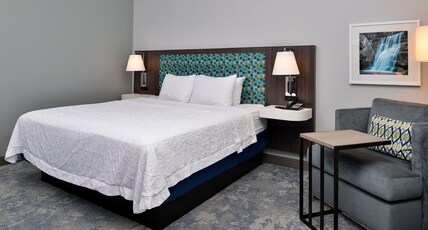 Hampton Inn by Hilton Cedar Falls Downtown Room Type - 1 KNG HEARING ACC NOSMOK