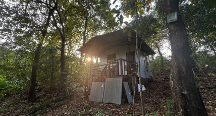 The Moonlit Stream - An Eco Stay Room Type - Bird Song | Private AC Eco Stay Amid Nature