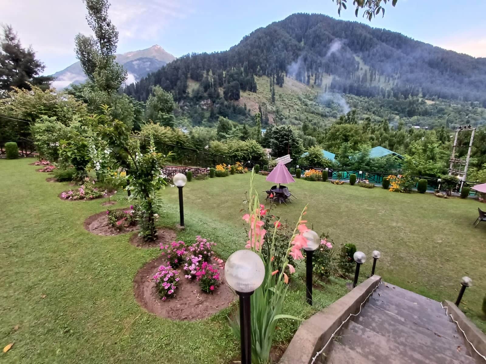 Forest Hill Resorts - Tap to explore photos