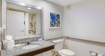 Hampton Inn by Hilton Mobile-I-10/Bellingrath Gardens Room Type - 1 KNG ACCESSIBLE TUB NS