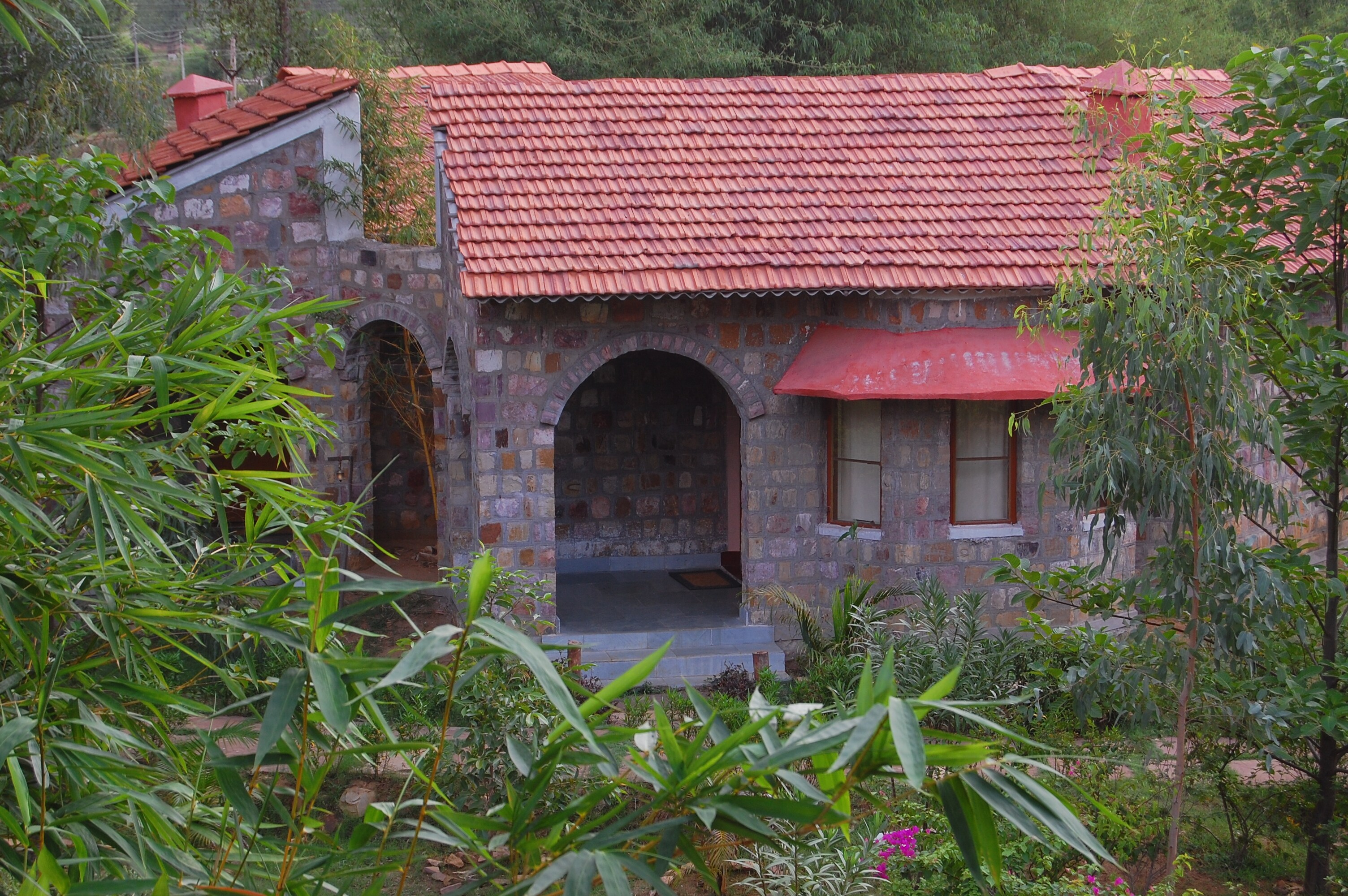 MOGLI JUNGLE RESORTS BANDHAVGARH  - Tap to explore photos