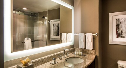 DoubleTree by Hilton Largo-Washington DC Room Type - 1KNG MOB HEAR ACC W TUB