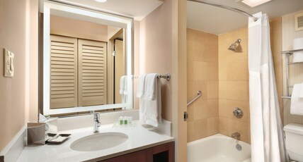 Holiday Inn Austin -Town Lake Room Type - 1 King Standard Lake View