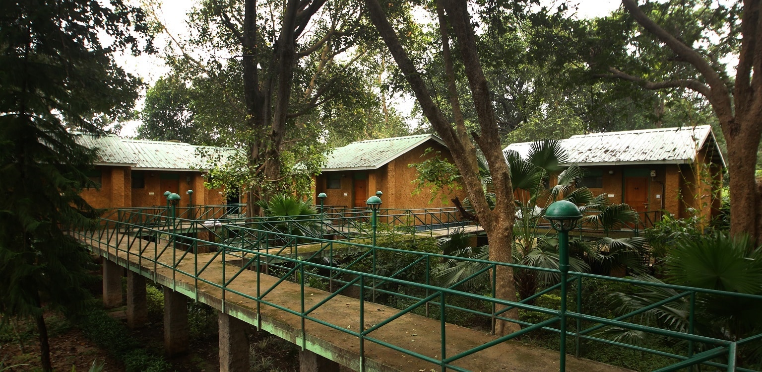 MPT White Tiger Forest Lodge, Bandhavgarh (Nar National Park) - Tap to explore photos