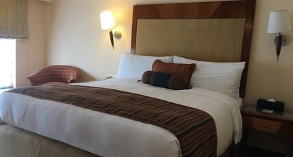 The Lalit Ashok Bangalore Room Type - Premier Pool View Twin Bed, SitOut, Pool view facing