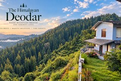 Photos of The Himalayan Deodar