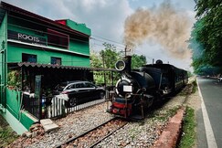 Roots By Mount Olive