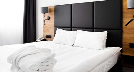 Mercure Opole Room Type - Deluxe Room with 1 double bed