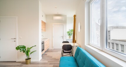 Comfortable City Apartment in Centre Room Type - Comfortable City Apartment in Centre Comfortable City Apartment in Centre Room Type - Comfortable City Apartment in Centre