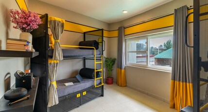 The Hosteller Dharamshala Room Type - Bed in 4 Bed Mixed Dormitory with Valley View