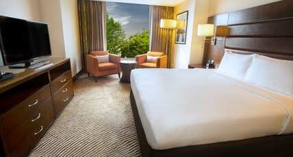 Hilton Garden Inn Trivandrum Room Type - 1 King Bedroom Suite