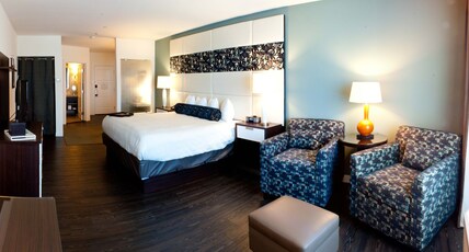 Hotel Indigo WACO - BAYLOR, an IHG hotel Room Type - 1 King Bed Premium