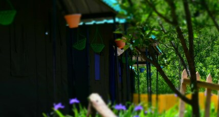 Route 707 Camps And Resort| Hilltop Rooms Room Type - Luxury Camp