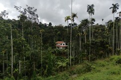 Address of Spice Book Homestay Wayanad