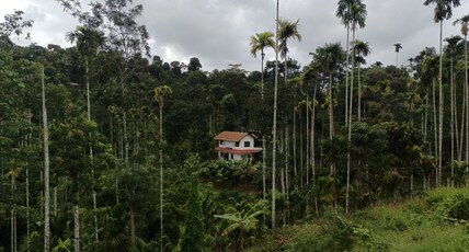 Spice Book Homestay Wayanad Room Type - Spice Book Homestay Wayanad