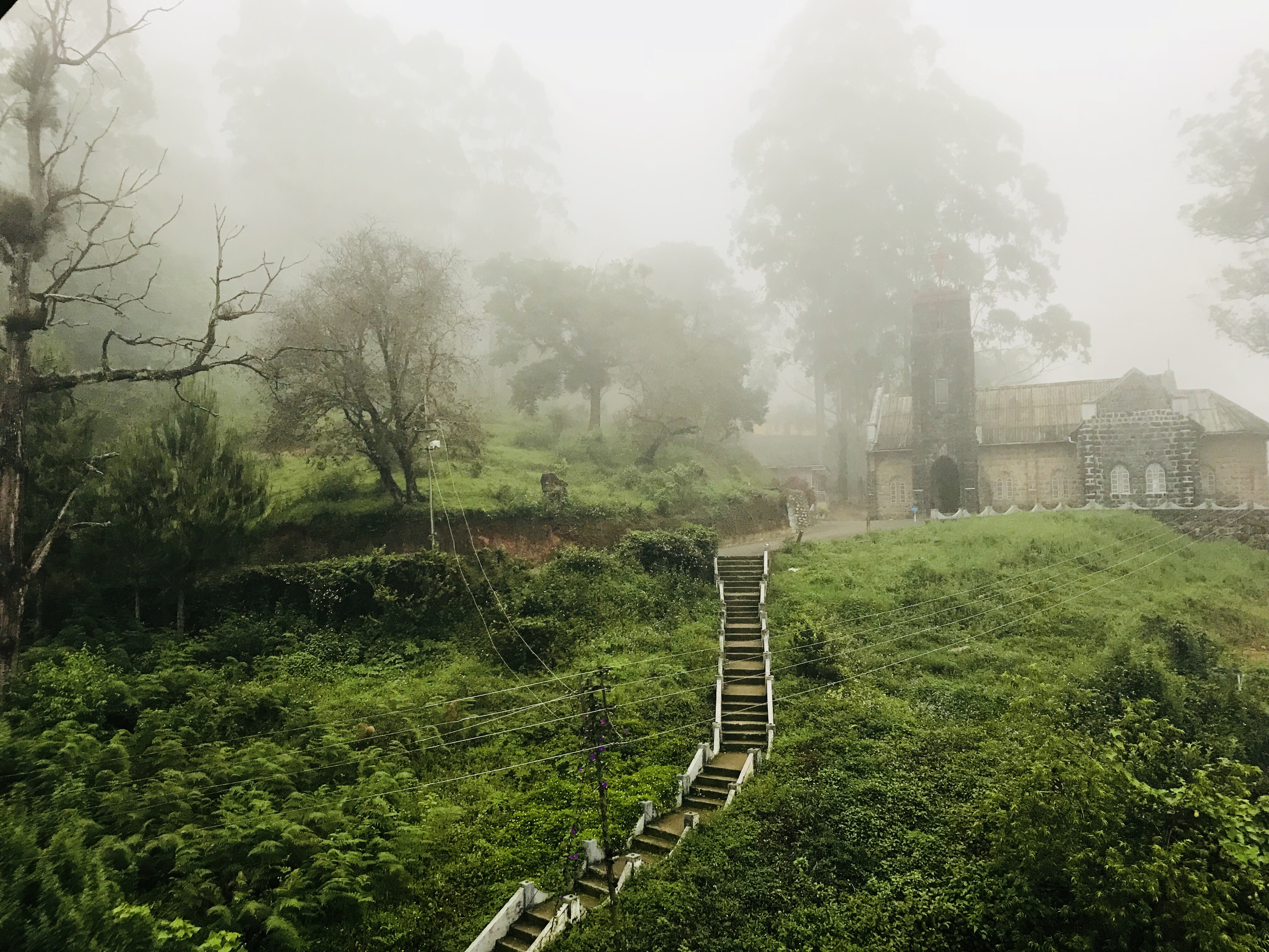 BELLMOUNT MUNNAR - Tap to explore photos