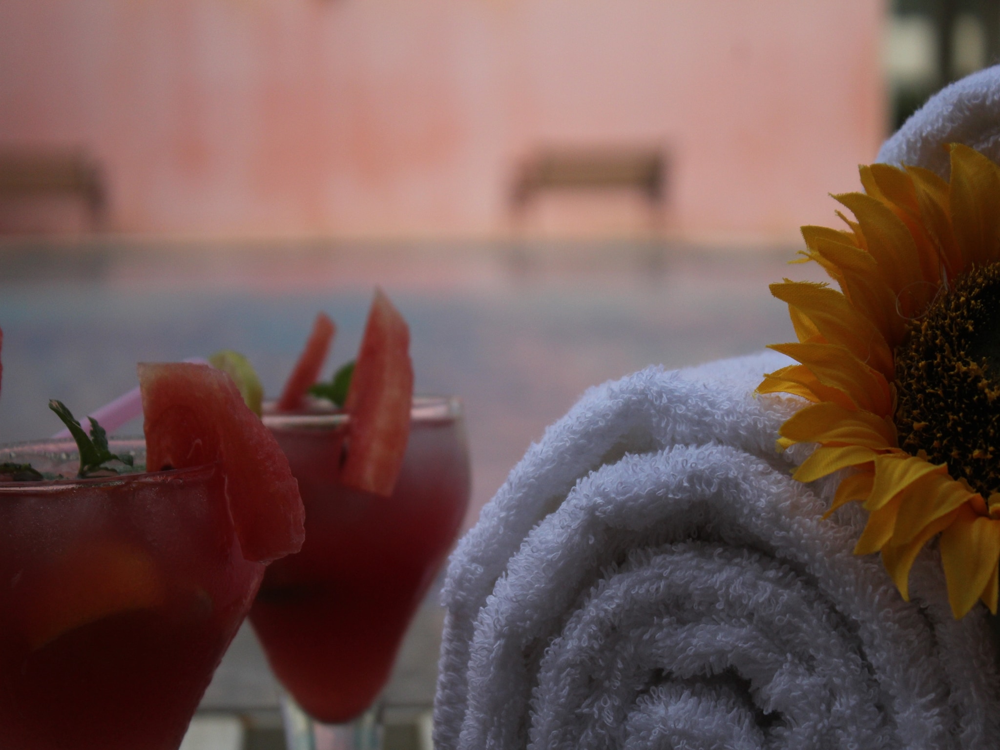 Hotel Seven sky Clarks Exotica - Tap to explore photos