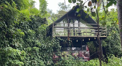 HOLISTIC STAY ECO - RESORT Room Type - Caravan