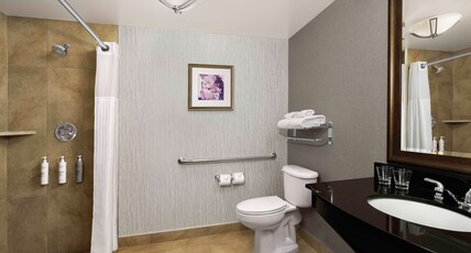 Hilton Garden Inn Calgary Airport Room Type - 1 KING ACC RM ROLLIN SHWR