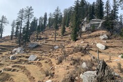 Himalayan Nature Home Stay