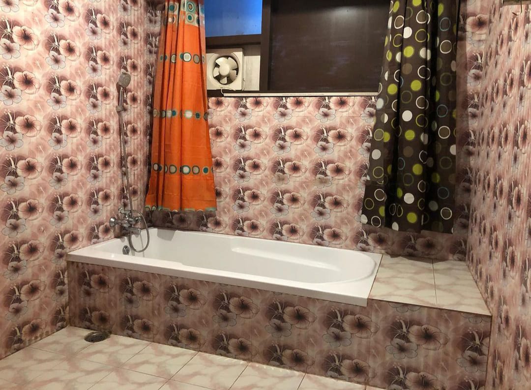 Mountain Orchaid - Tap to explore photos